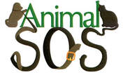 Animal SOS Foundation